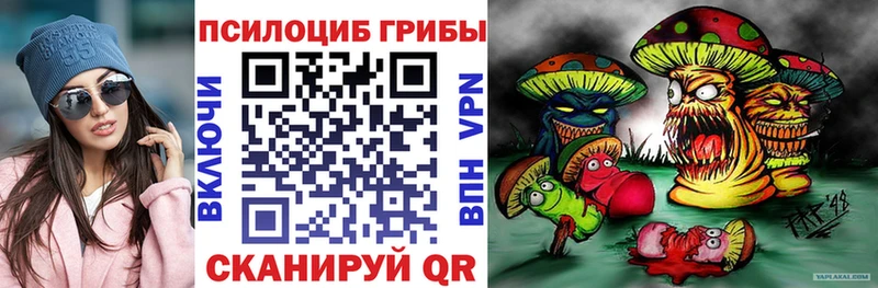 Псилоцибиновые грибы GOLDEN TEACHER  Саки 